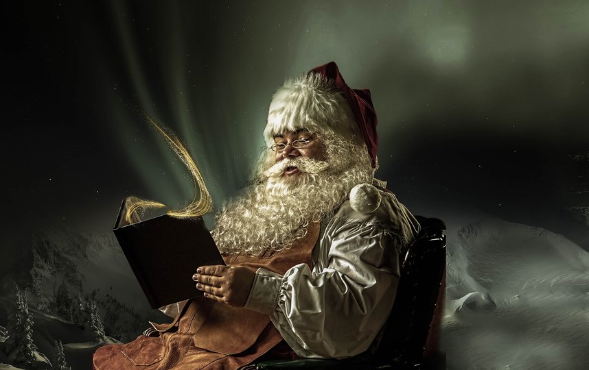 Красная шубка и интеллигентный вид списаны с Санта-Клауса. Фото pixabay
