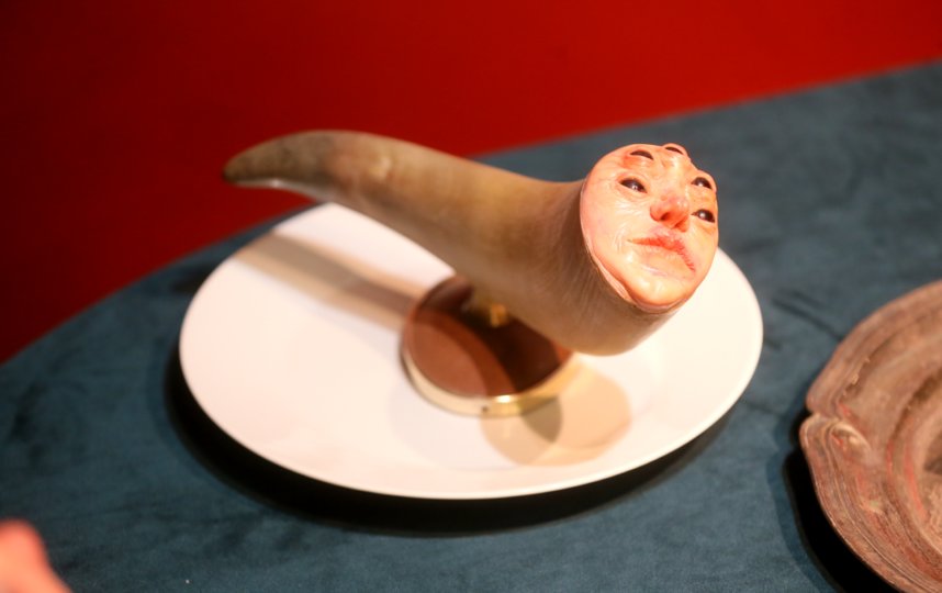 Рог, купленный на рынке, превратил многоглазое существо в моллюска. Фото Василий Кузьмичёнок