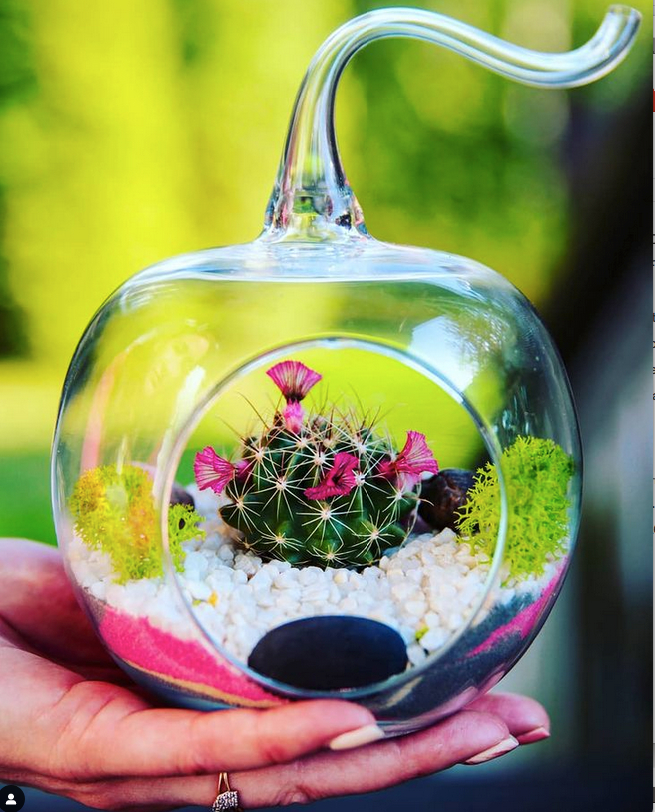 Флорариум – это маленькая домашняя оранжерея, внутри которой красиво располагают растения. Фото  instagram.com@greendecor.spb