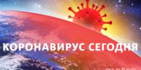 Коронавирус в России: статистика на 24 января