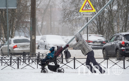 В этом году в Петербург пришло 5 разных циклонов. Фото Святослав Акимов, "Metro"