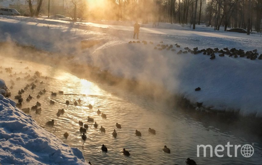 Январь в Петербурге можно назвать теплым. Фото Алена Бобрович, "Metro"