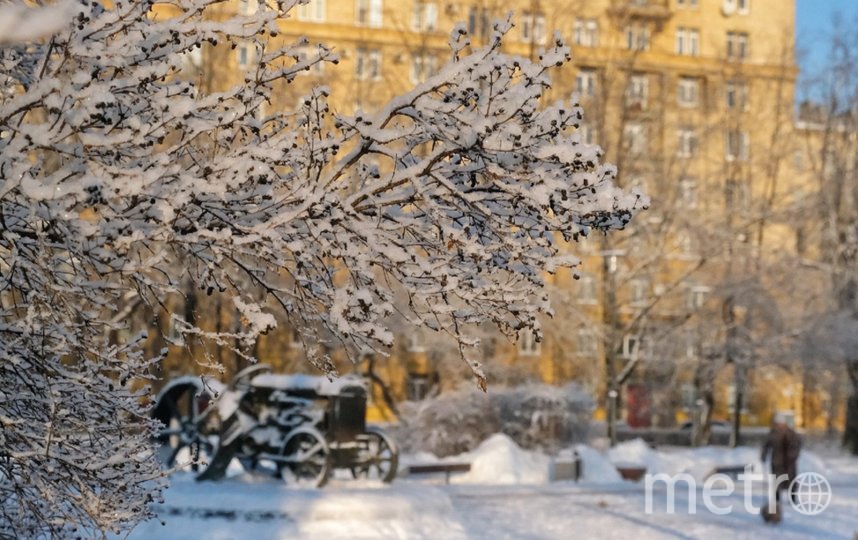 Синпотики рассказали, какой погоды ожидать в феврале. Фото Алена Бобрович, "Metro"