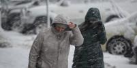 В воскресенье в Петербурге ожидается метель и обильный снегопад 