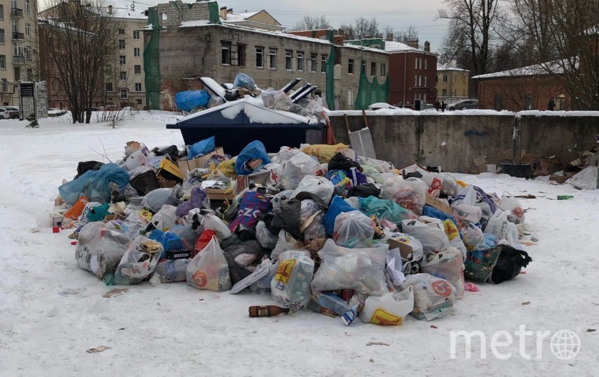 На официальном сайте Законодательного собрания Санкт-Петербурга появилась возможность отслеживать состояние мусорных площадок. Фото "Metro"