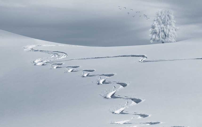 В Ленинградской области все еще можно успеть покататься на лыжах до конца зимы. Фото Pixabay