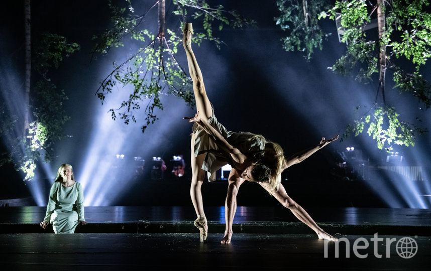 Балет для взрослых: какие премьеры увидят петербуржцы на фестивале Dance Open