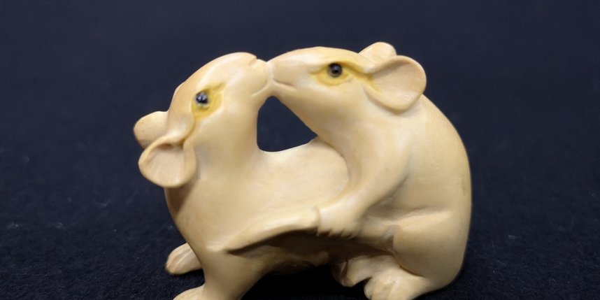 ���� �����. ����� ����� � ����� ��������� ���� ���������