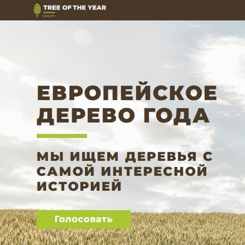 За день до конца голосования Тургеневский дуб исключили из конкурса "Европейское дерево года". Фото treeoftheyear.org