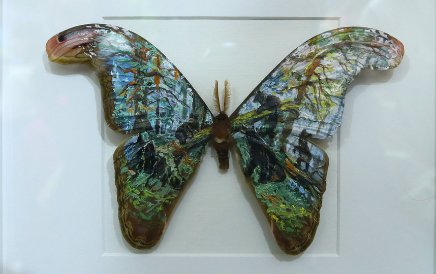 А вот на крыльях всем известная работа Ивана Шишкина – «Утро в сосновом лесу». Фото Василий Кузьмичёнок