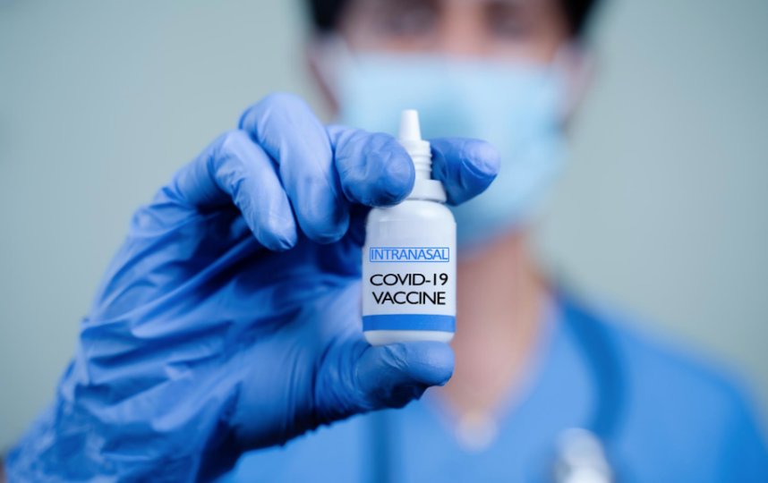 Чем назальная вакцина будет отличаться от инъекционной и сможет ли ее заменить. Фото Depositphotos