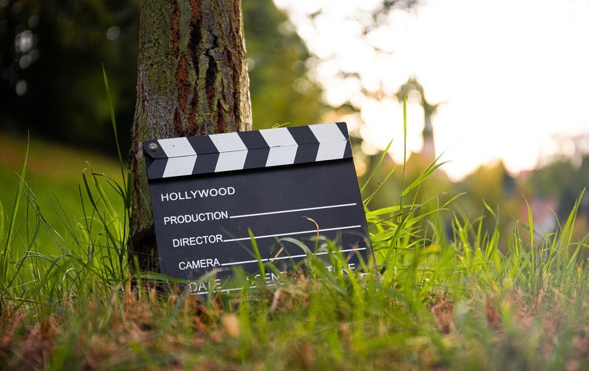 Весной кинопрокатчики стандартно ожидают патриотическое и семейное кино. Фото pixabay.com
