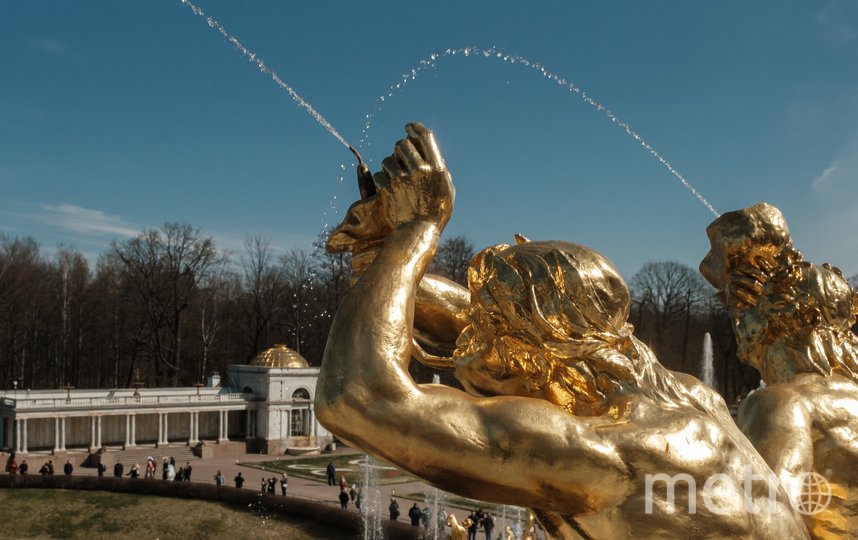 В Петергофе состоялся пуск фонтанов. Фото Алена Бобрович, "Metro"