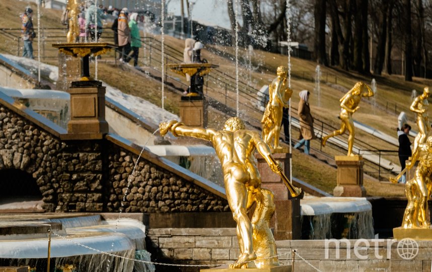 В Петергофе состоялся пуск фонтанов. Фото Алена Бобрович, "Metro"