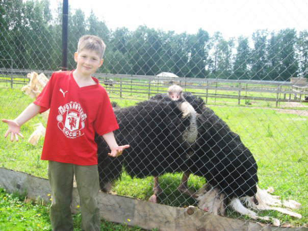 В поселке "Дзержинского" (Лужский район) находится ферма - "Львиный страус". Фото http://strauz.ru/