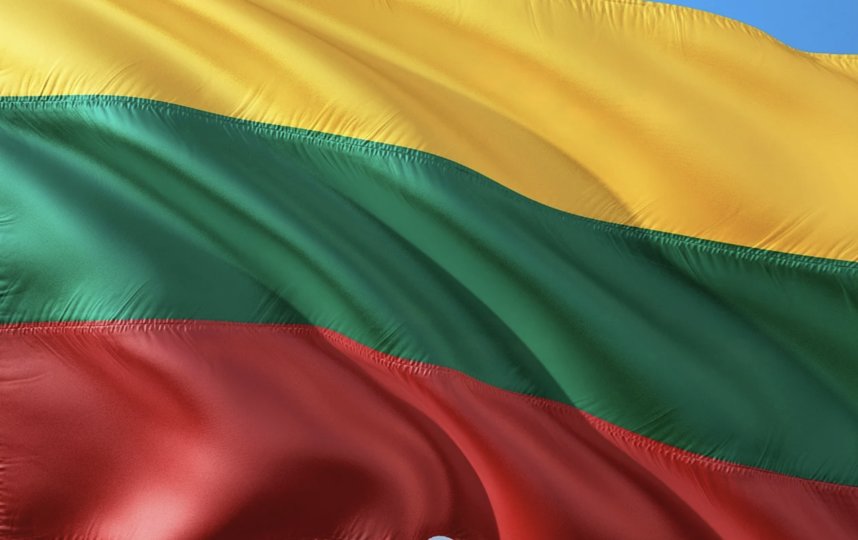 Флаг Литвы. Фото Pixabay.