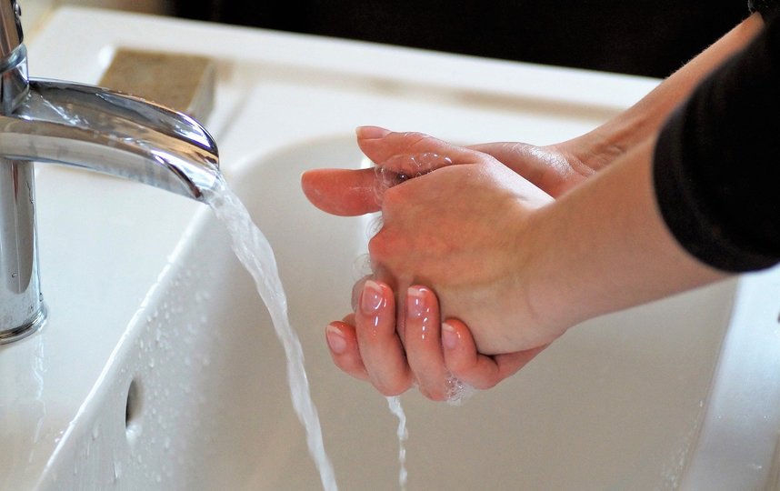 Петербуржцев просят не забывать про простейшие правила профилактики, которые помогут защититься от кишечных инфекций: необходимо тщательно мыть руки, кипятить воду и обрабатывать продукты перед употреблением в пищу. Фото https://pixabay.com/
