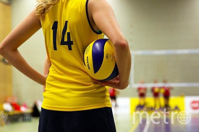 Мужской волейбол в России популярнее женского