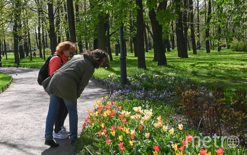 Во время прогулки посетители познакомятся с богатой историей парка и его зелёными обитателями. Фото Игорь Акимов, "Metro"