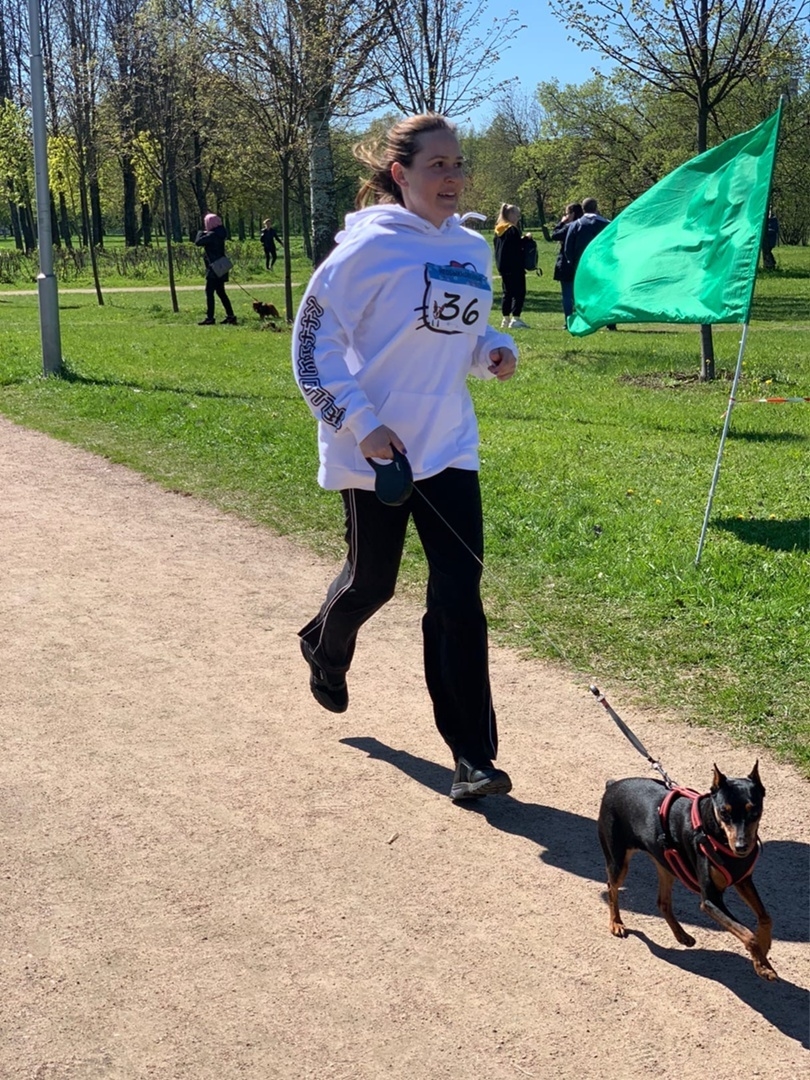 Пробежать 1 или 3 км вместе со своей или приютской собакой могли все желающие. Фото https://vk.com/gavgavkross