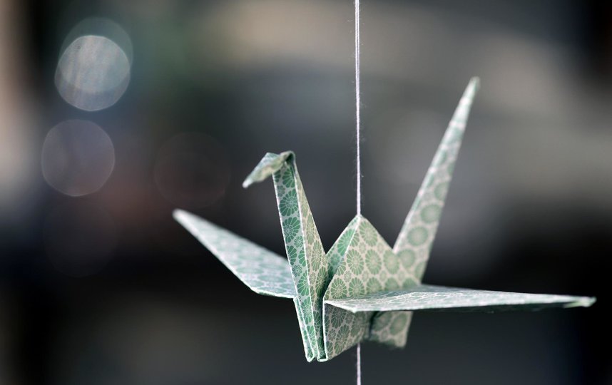 Оригами – не только искусство складывать бумажные фигурки, но и способ узнавать окружающий мир. Фото https://pixabay.com/