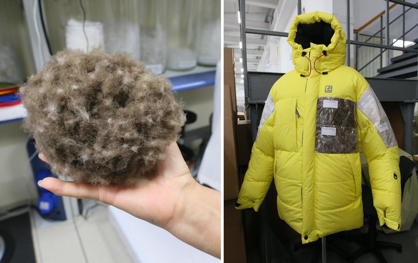 Куртка справа демонстрирует разные виды утеплителей, с которыми работает компания. Слева – пух гаги, один из самых дорогостоящих вариантов. Фото Василий Кузьмичёнок