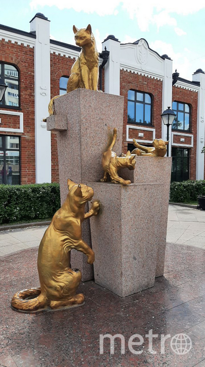 Сибирским кошкам, которые спасли Ленинград от крыс, в Тюмени посвятили целый сквер. Фото Фото автора., "Metro"
