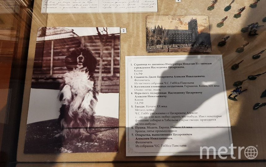 Пес Алексея Николевича - Джой сбежал во время расстрела. Чуть позже был найден и передан британской королевской семье. Фото Юлия Журавлева, "Metro"