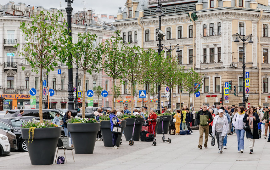 В Петербурге нашли красивое решение по дополнительному озеленению Невского проспекта. Фото gov.spb.ru