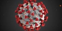 Роспотребнадзор с 1 июля снял все введенные из-за пандемии коронавируса ограничения