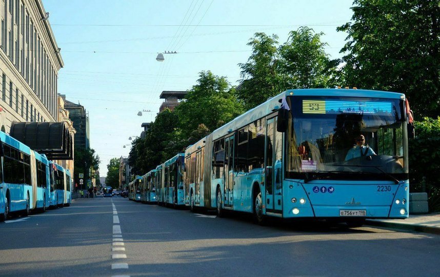 Жителям Петербурга расскажут о новой модели транспортного обслуживания. Фото gov.spb.ru