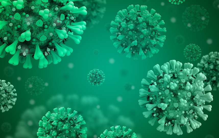 Роспотребнадзор: в России выявили подвариант "кентавр" омикрон-штамма коронавируса. Фото Pixabay