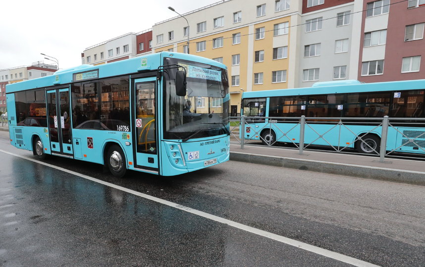 Жители некоторых районов Петербурга пожаловались на отсутствие автобусов. Фото gov.spb.ru
