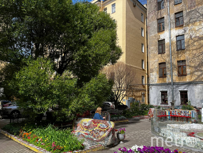 Еще год назад вяз в мозаичном дворике радовал горожан пышной зеленью. Фото Игорь Акимов, "Metro"