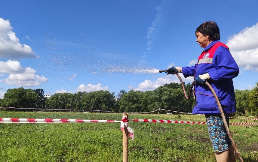 Городские садовники поливают луговые газоны в Муринском парке. Фото Комитет по благоустройству