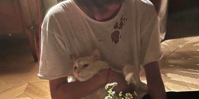 � ����� � ���������: ������� �������� ���� �������� � �������� ����������.