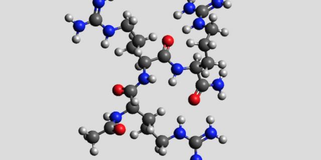 Молекула короткого пептида Ac-Arg-Arg-Arg-NH2 – перспективная основа для создания нового анальгетика. Красные шары – атомы кислорода, синие – атомы азота, серые шары – атомы углерода, белые – атомы водорода.