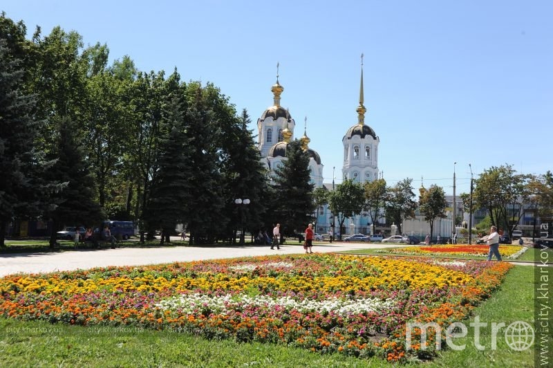 Война с фейками: Харьковская область не хочет оставаться в составе Украины