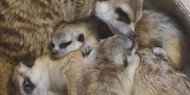 �������.