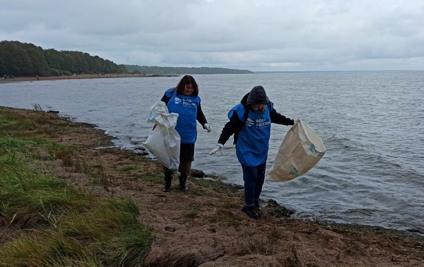 Петербургские волонтеры очистили берег Финского залива в Смолячково. Фото gov.spb.ru