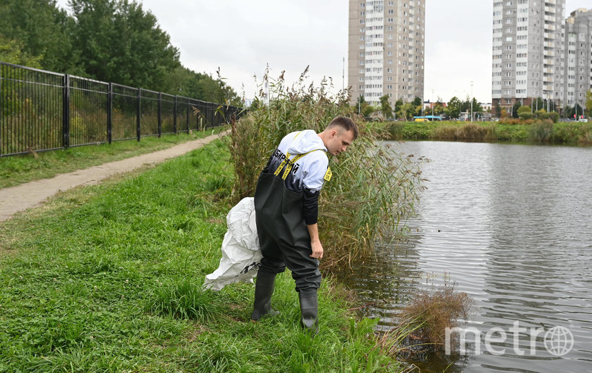 Экоблогер убрал мусор у озера. Фото Игорь Акимов, "Metro"