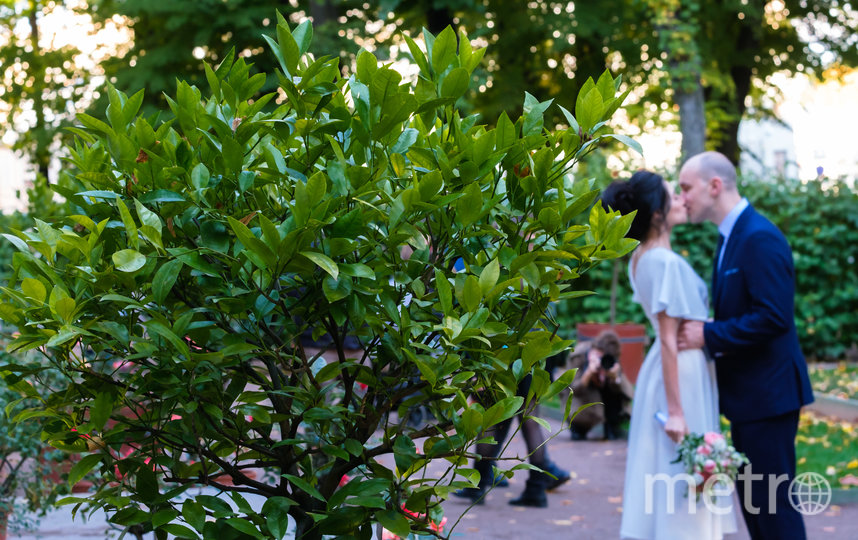 На фоне цитрусовых деревьев часто фотографируются молодожёны. Фото Алена Бобрович, "Metro"