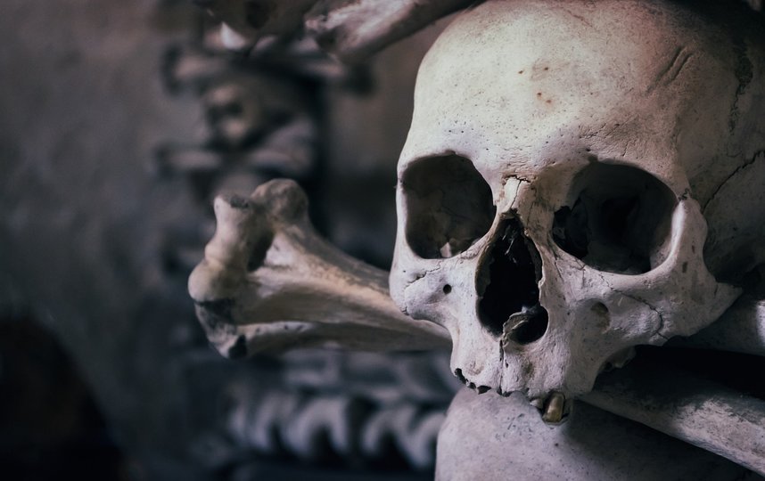 В Ленобласти прихожанин оставил в церкви пакет с человеческим черепом. Фото Pixabay