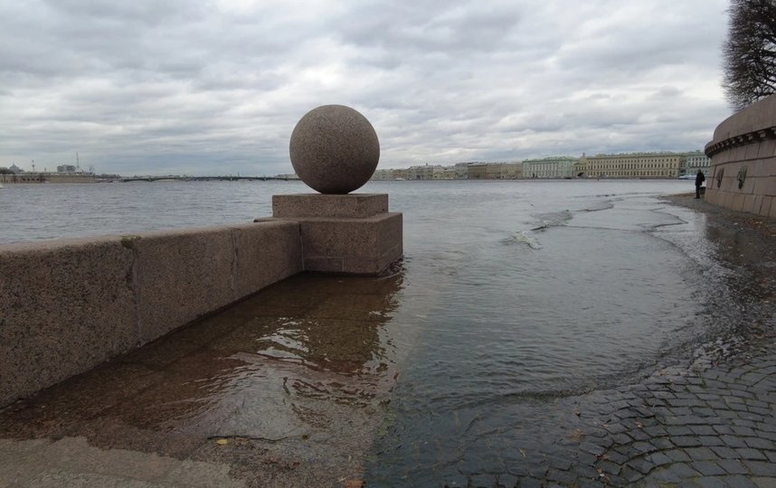 Уровень воды в Неве поднимется до отметок, близких к наводнению. Фото соцсети