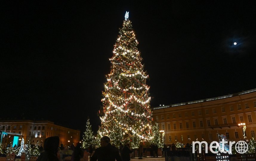 Стало известно, когда установят новогоднюю елку на Дворцовой площади в Петербурге