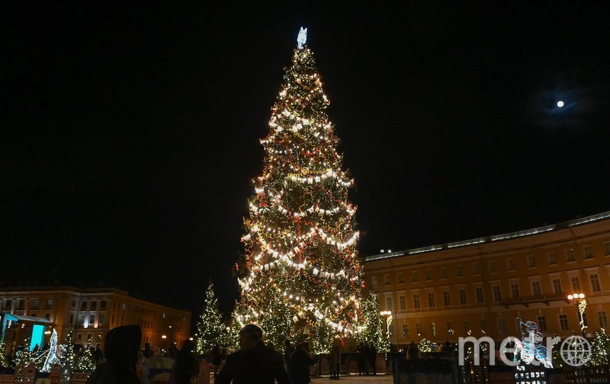 Стало известно, когда установят новогоднюю елку на Дворцовой площади в Петербурге. 