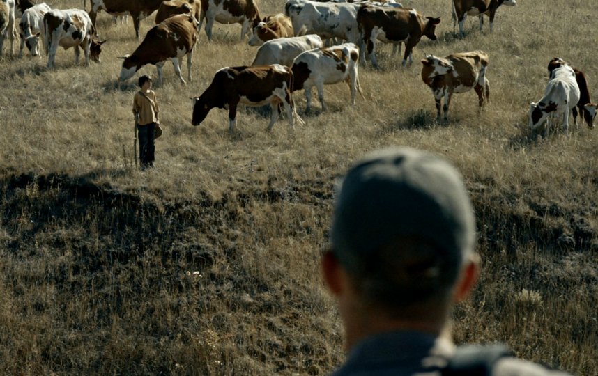 Кадр из фильма. 
