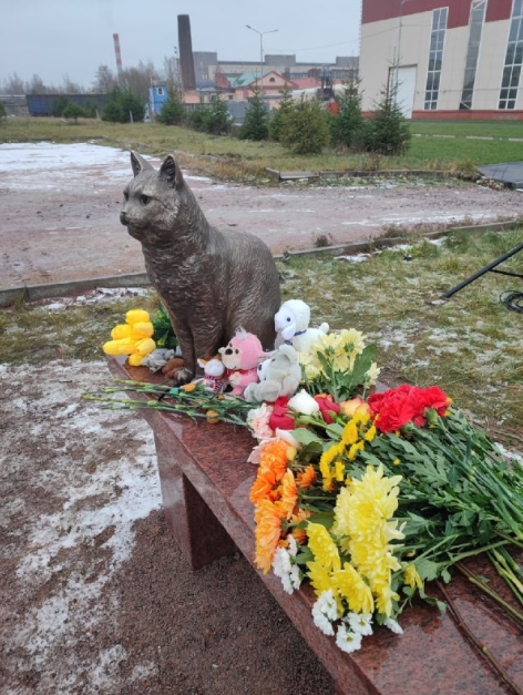 Памятник коту Кузе. Фото Соцсети.