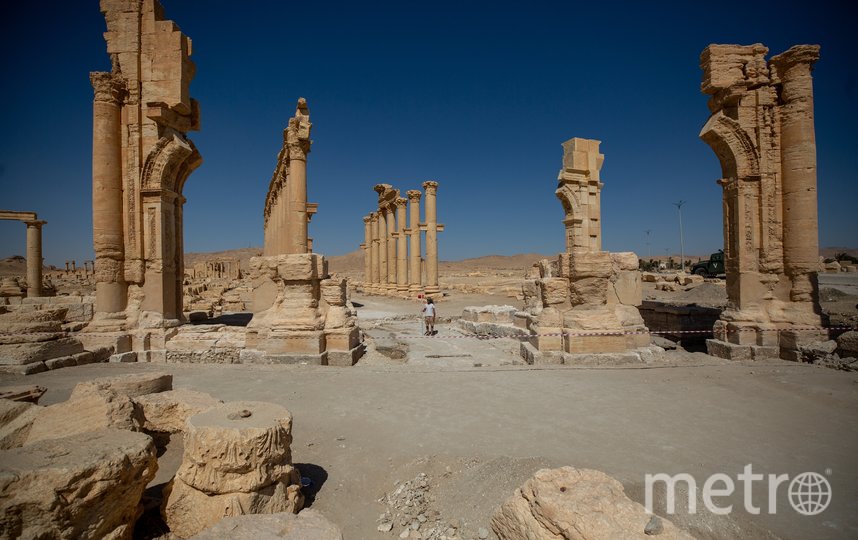 Петербургские археологи впервые представят результаты исследований в сирийской Пальмире
