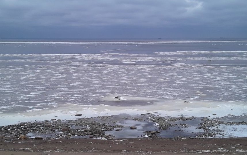 В Ленобласти начали замерзать озера. Фото Telegram-канал Александра Колесова.